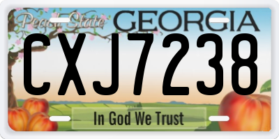 GA license plate CXJ7238