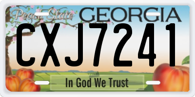 GA license plate CXJ7241