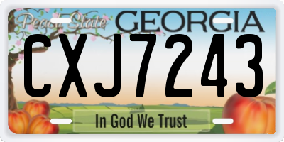 GA license plate CXJ7243