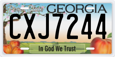 GA license plate CXJ7244