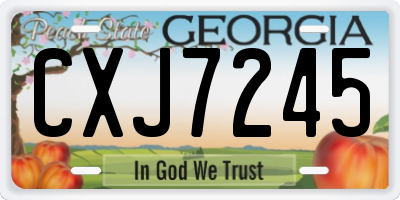 GA license plate CXJ7245