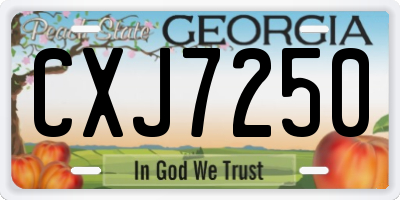 GA license plate CXJ7250