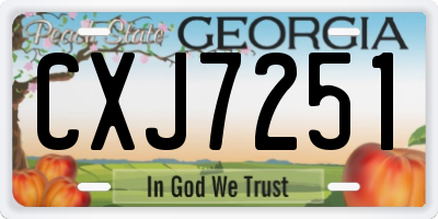 GA license plate CXJ7251
