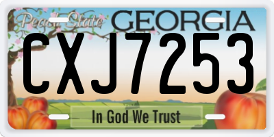 GA license plate CXJ7253