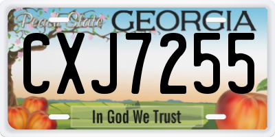 GA license plate CXJ7255