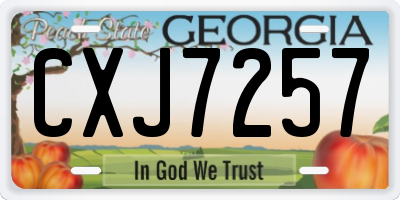 GA license plate CXJ7257