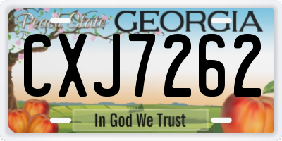 GA license plate CXJ7262
