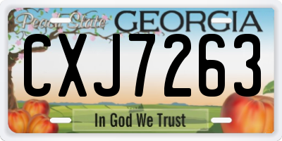 GA license plate CXJ7263
