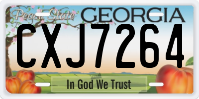GA license plate CXJ7264