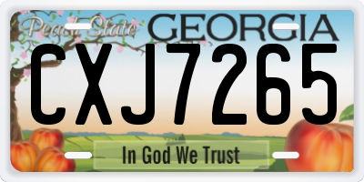 GA license plate CXJ7265