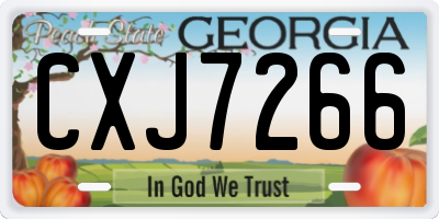 GA license plate CXJ7266