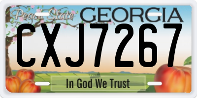 GA license plate CXJ7267