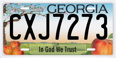 GA license plate CXJ7273
