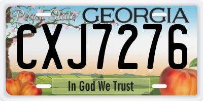 GA license plate CXJ7276