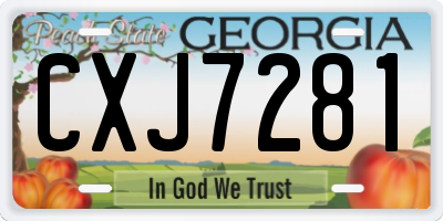 GA license plate CXJ7281