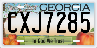 GA license plate CXJ7285