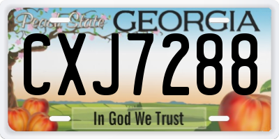 GA license plate CXJ7288