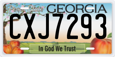 GA license plate CXJ7293