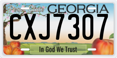GA license plate CXJ7307