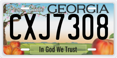 GA license plate CXJ7308