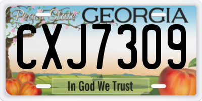 GA license plate CXJ7309