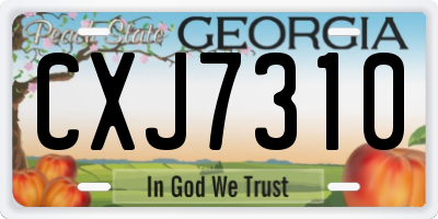 GA license plate CXJ7310