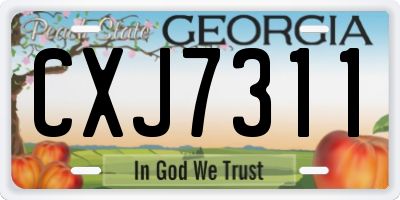 GA license plate CXJ7311