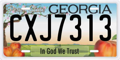 GA license plate CXJ7313