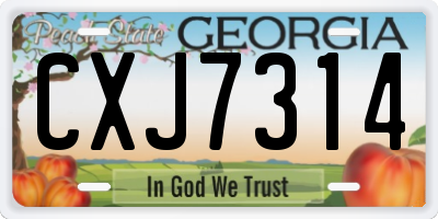 GA license plate CXJ7314