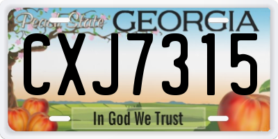 GA license plate CXJ7315