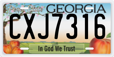 GA license plate CXJ7316
