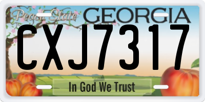 GA license plate CXJ7317