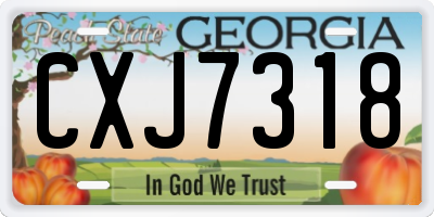 GA license plate CXJ7318