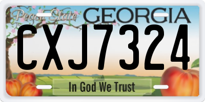 GA license plate CXJ7324