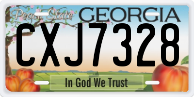 GA license plate CXJ7328