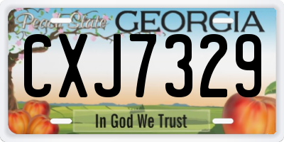 GA license plate CXJ7329