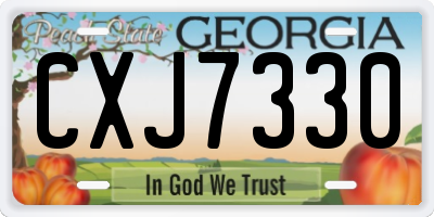 GA license plate CXJ7330