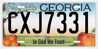 GA license plate CXJ7331