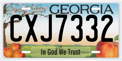 GA license plate CXJ7332