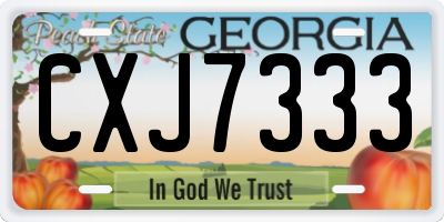 GA license plate CXJ7333