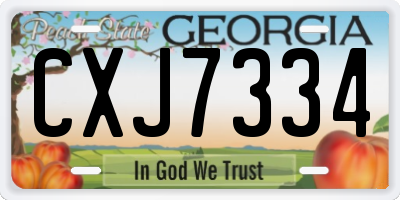 GA license plate CXJ7334