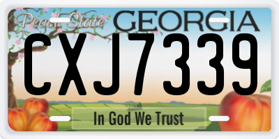 GA license plate CXJ7339