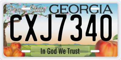 GA license plate CXJ7340