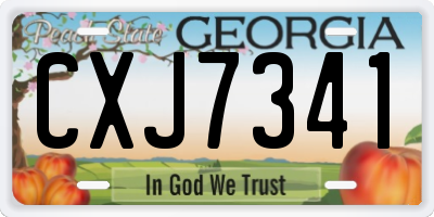 GA license plate CXJ7341