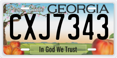 GA license plate CXJ7343
