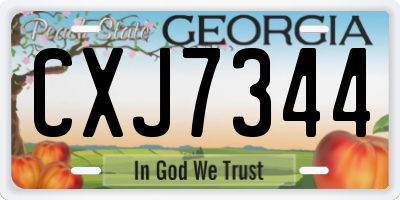 GA license plate CXJ7344