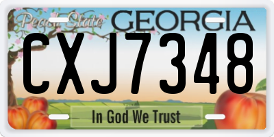 GA license plate CXJ7348