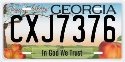 GA license plate CXJ7376