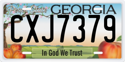 GA license plate CXJ7379