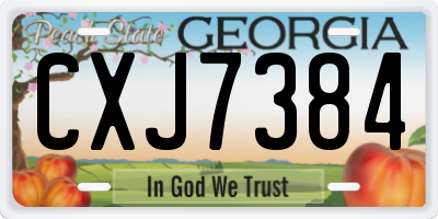 GA license plate CXJ7384